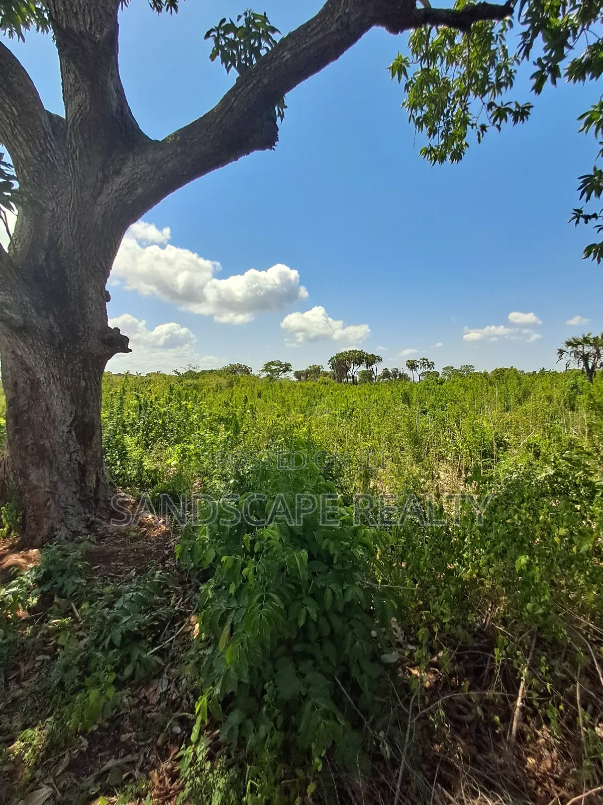 Prime 0.9 Acre Plot – Galu Kinondo | Beach 2