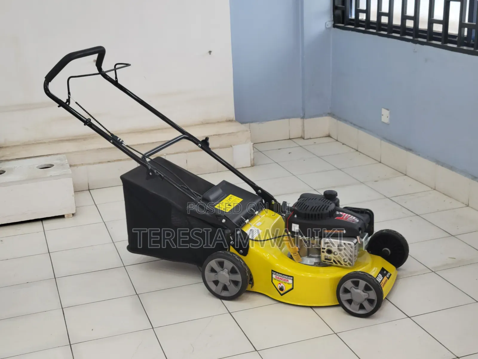 2-Stroke Lawn Mower | Wasp