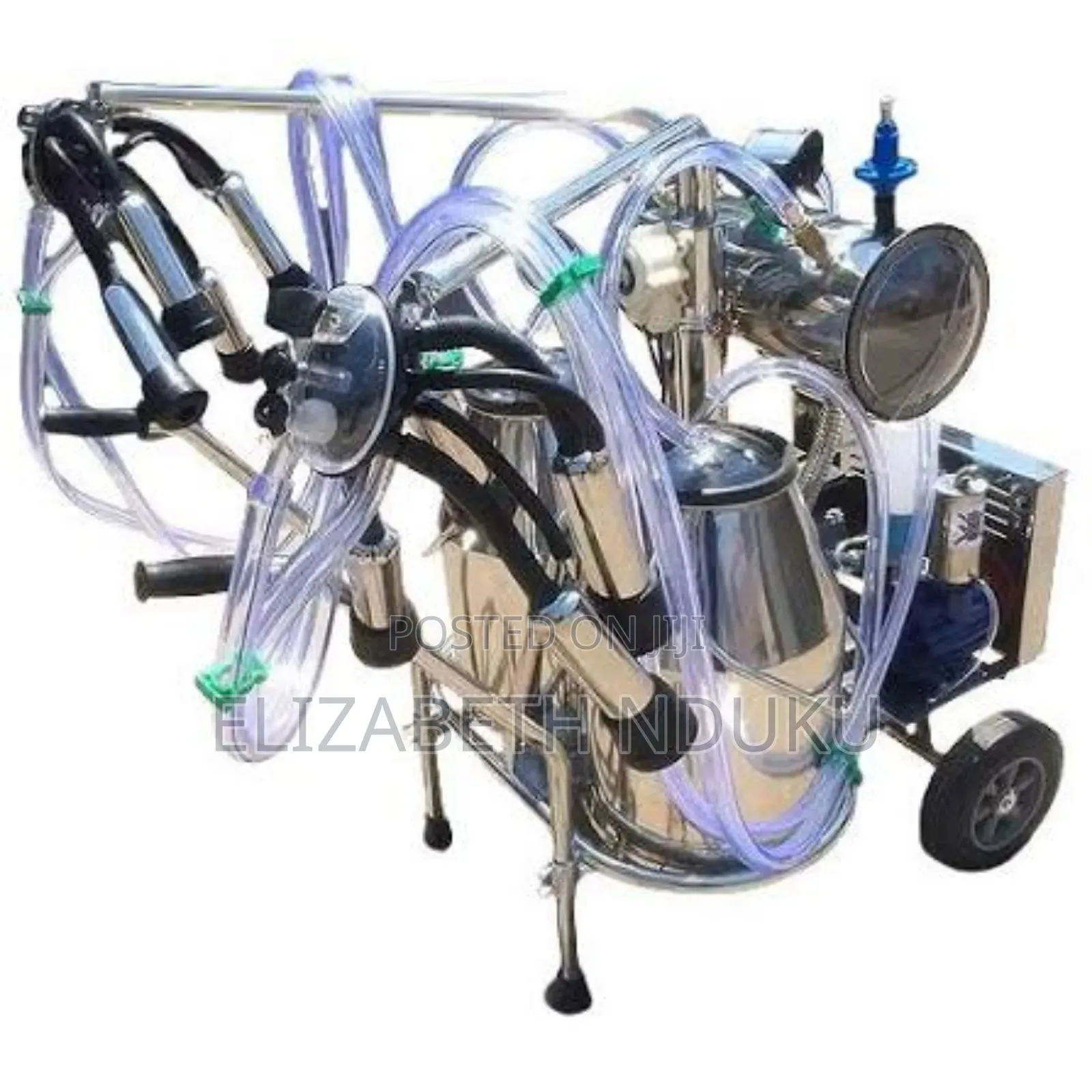 International Dual Drum Milking Machine
