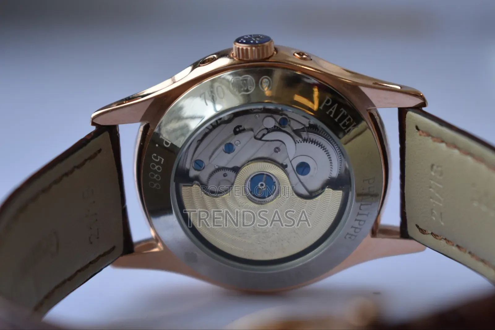 Patek Philippe Annual Calendar Moonphase Watch