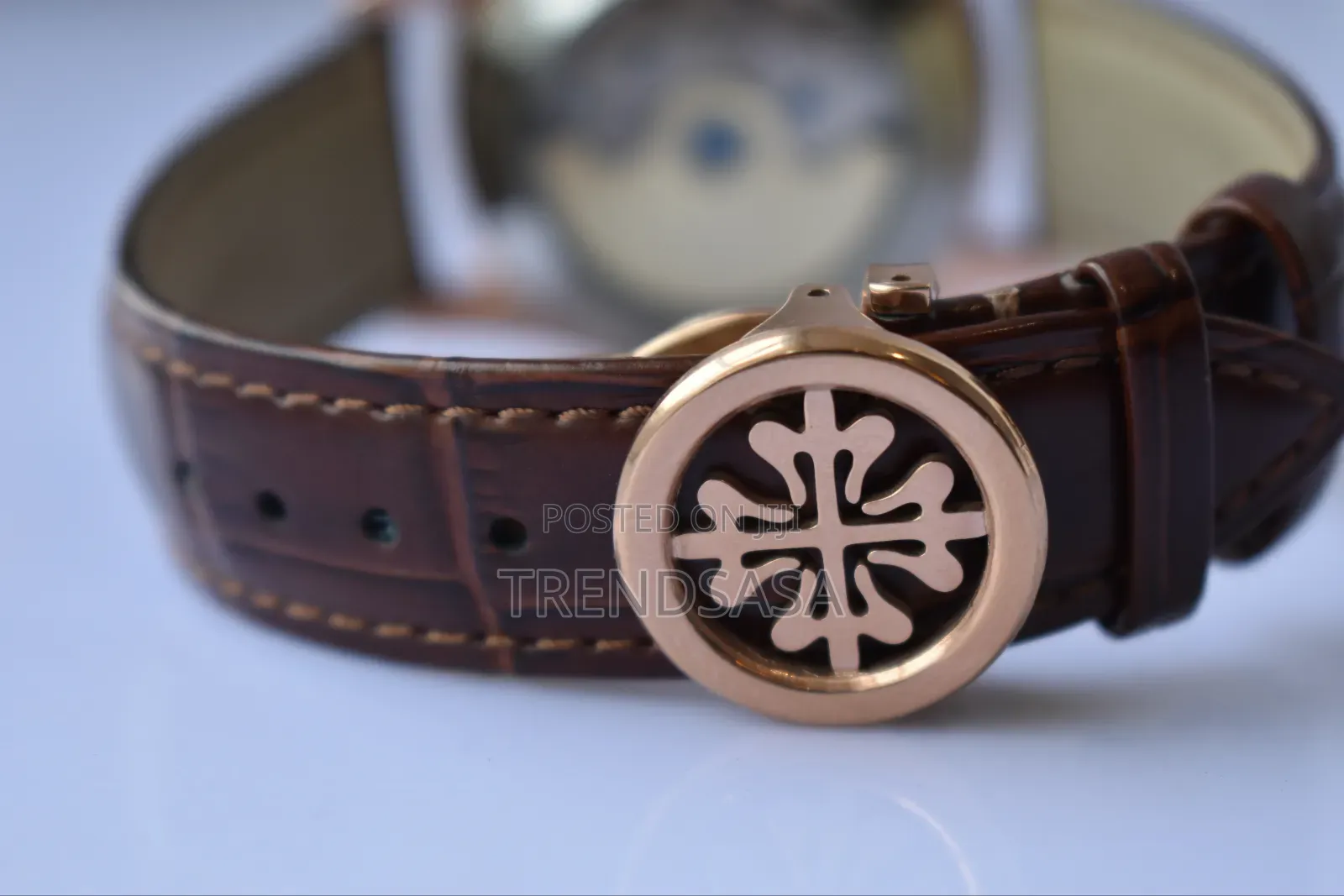 Patek Philippe Annual Calendar Moonphase Watch