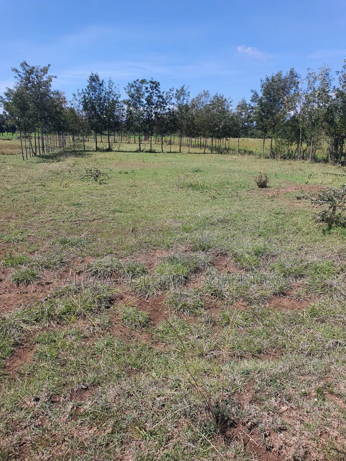 2 Acres Fronting River [ Nanyuki ]