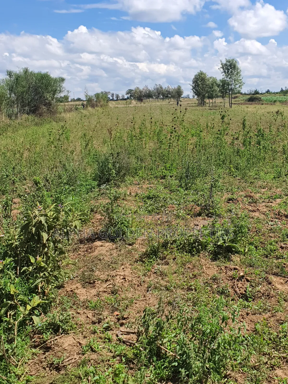 2 Acres Fronting River [ Nanyuki ]