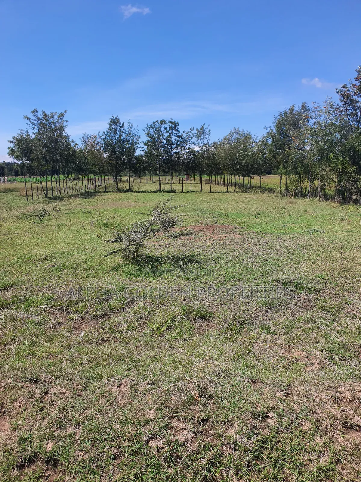 2 Acres Fronting River [ Nanyuki ]