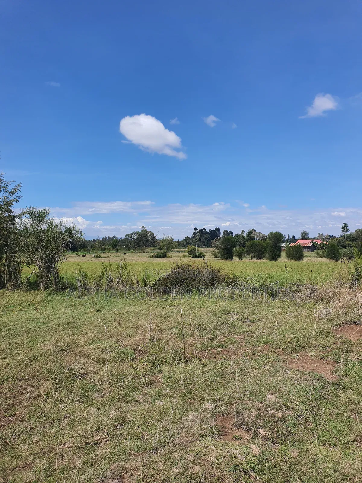 2 Acres Fronting River [ Nanyuki ]