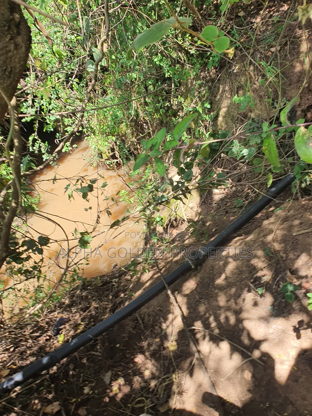 2 Acres Fronting River [ Nanyuki ]