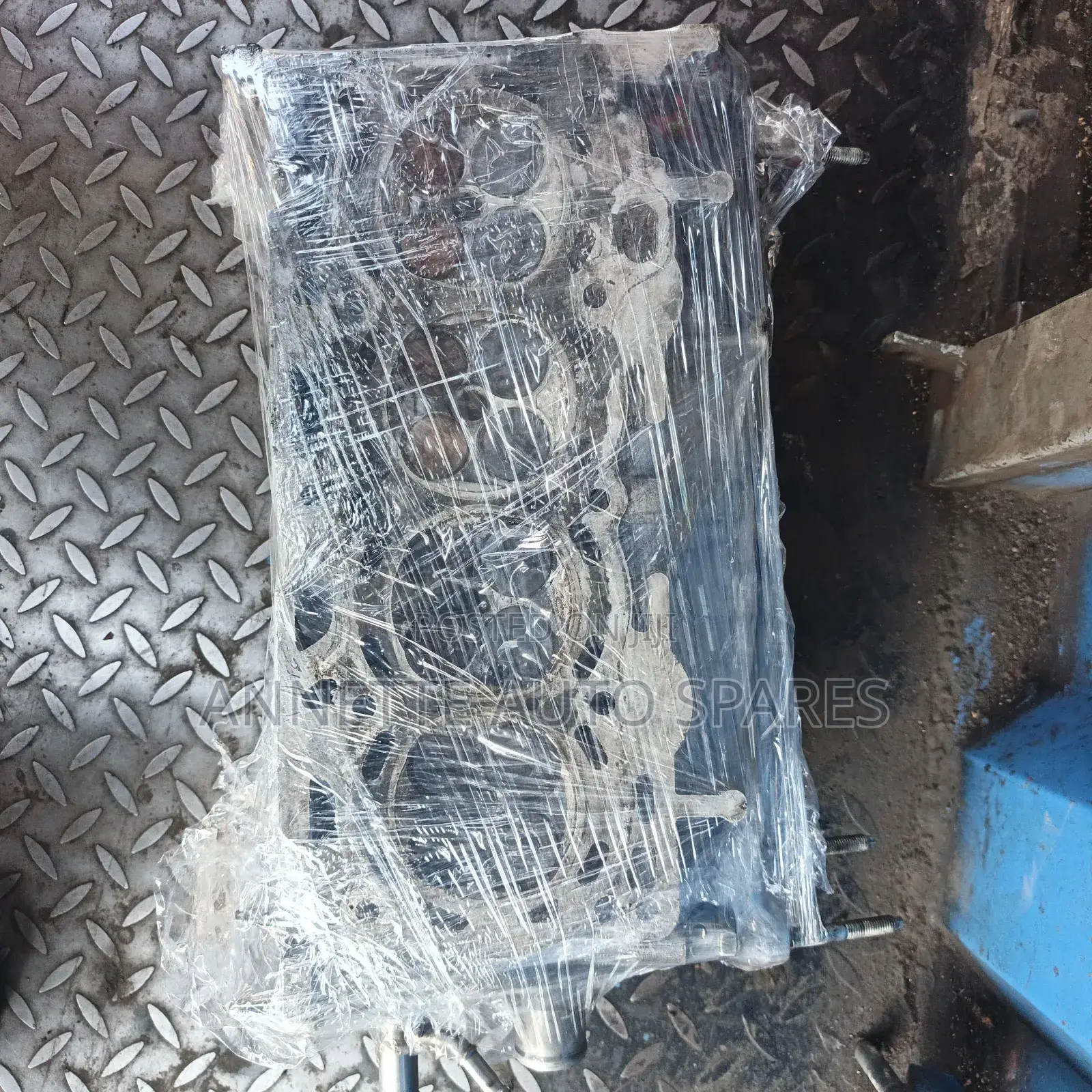 Fielder 1nz Head( Sensor