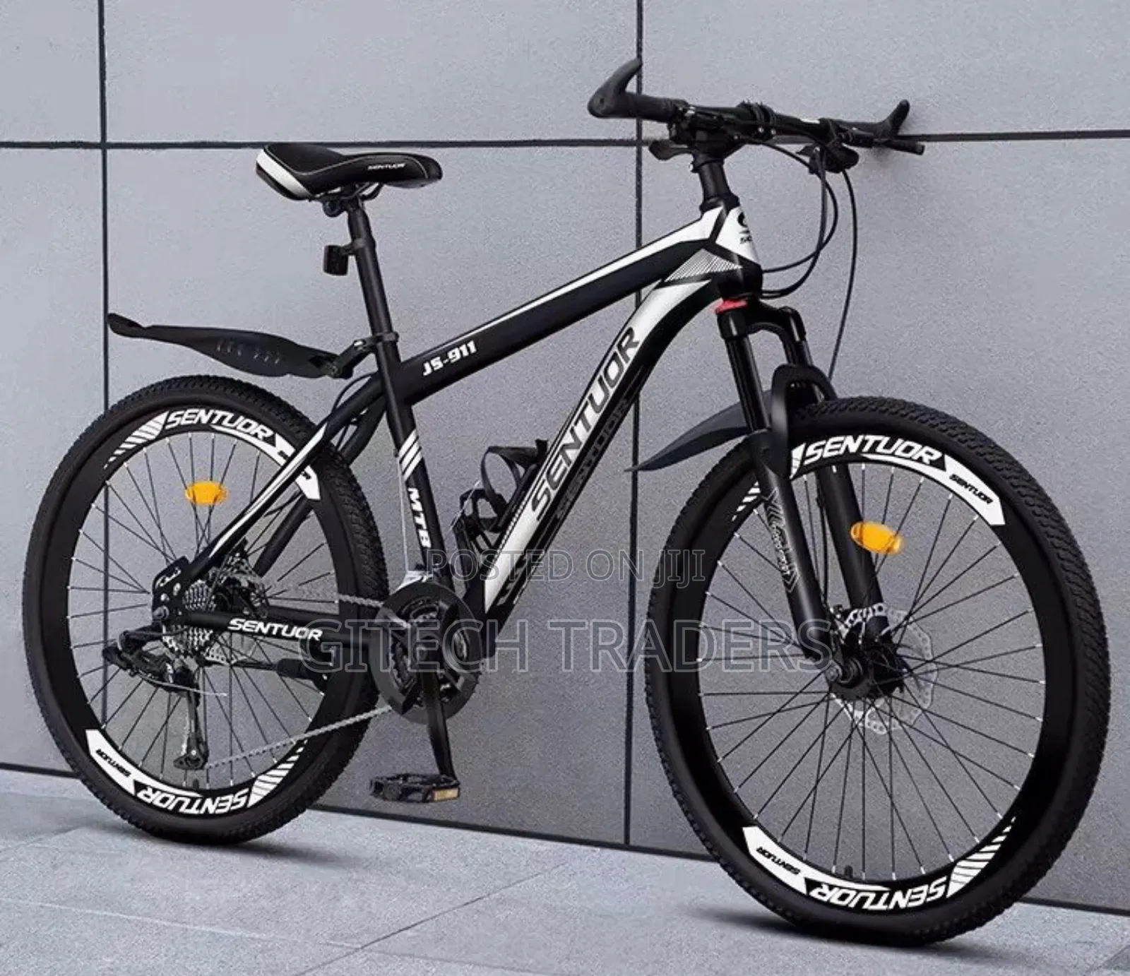 Mountain Bike