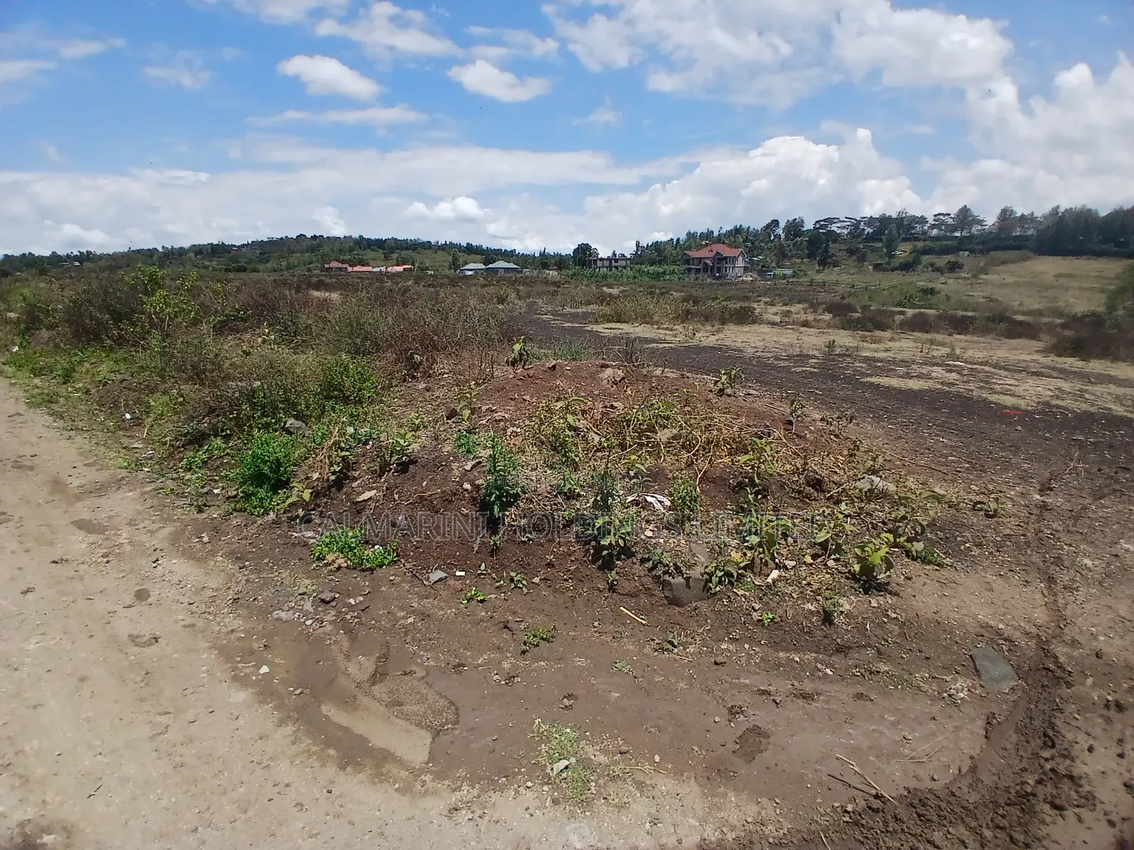 Prime 1/8 Acre in Upper Matasia for Sale Touching Access Road