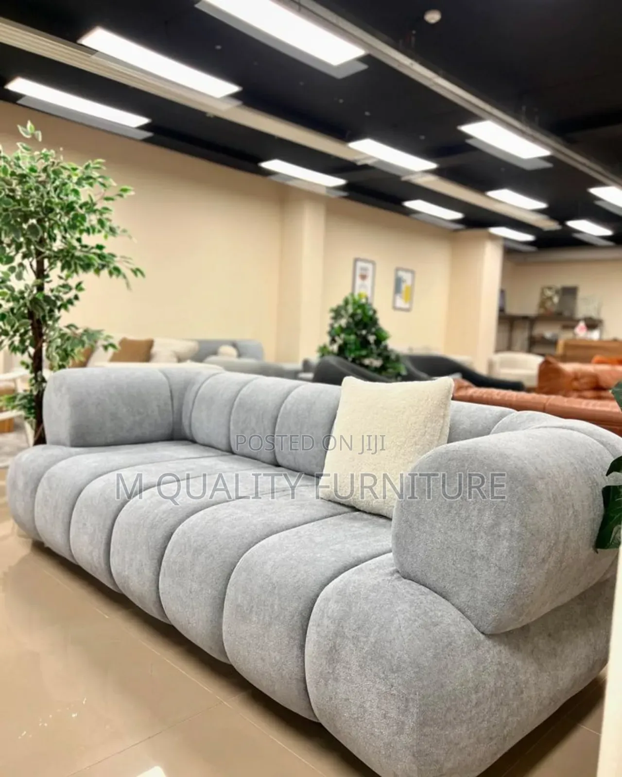 Gray Elegant Sofa Piece