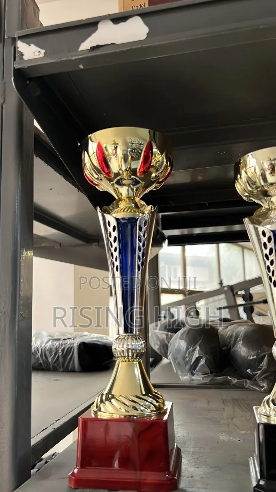  Customizable Winner Trophies – All Sizes