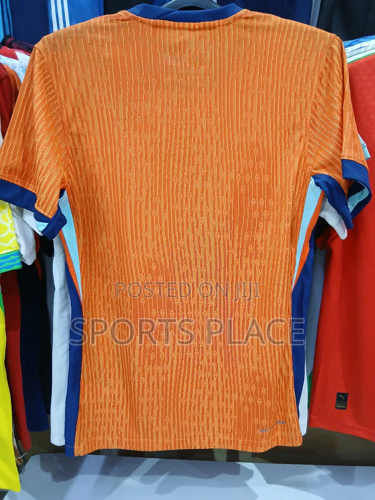 The Dutch(Netherlands) National Team World Cup Jersey- Player Version