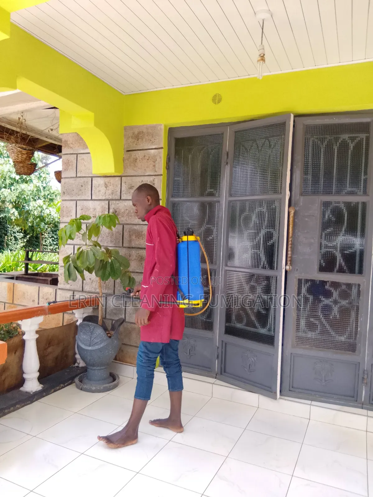 Fumigation Pest in Cleaning Services