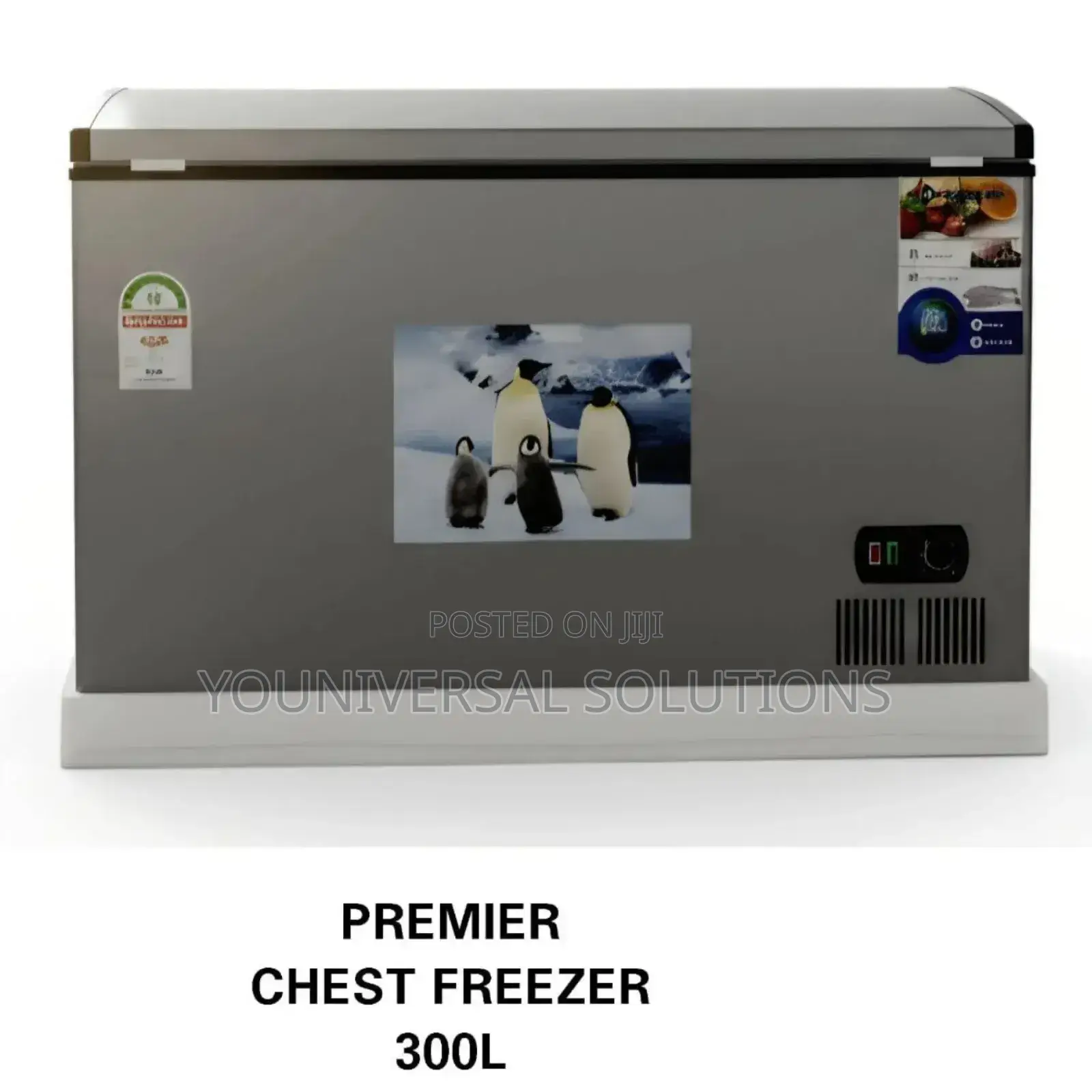 Chest Freezer 300l Premier