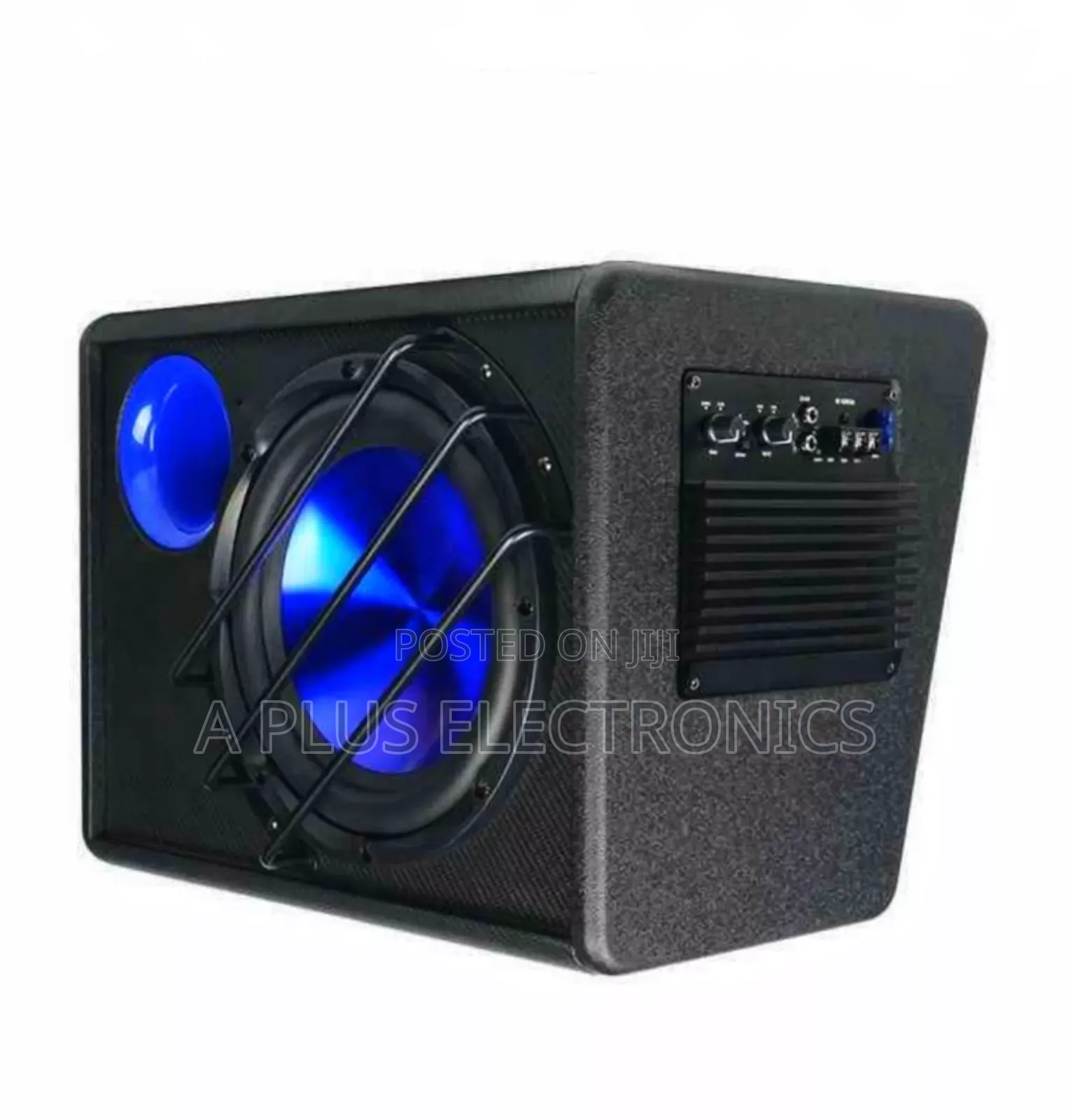 B10 10 Inch Amplified Speaker