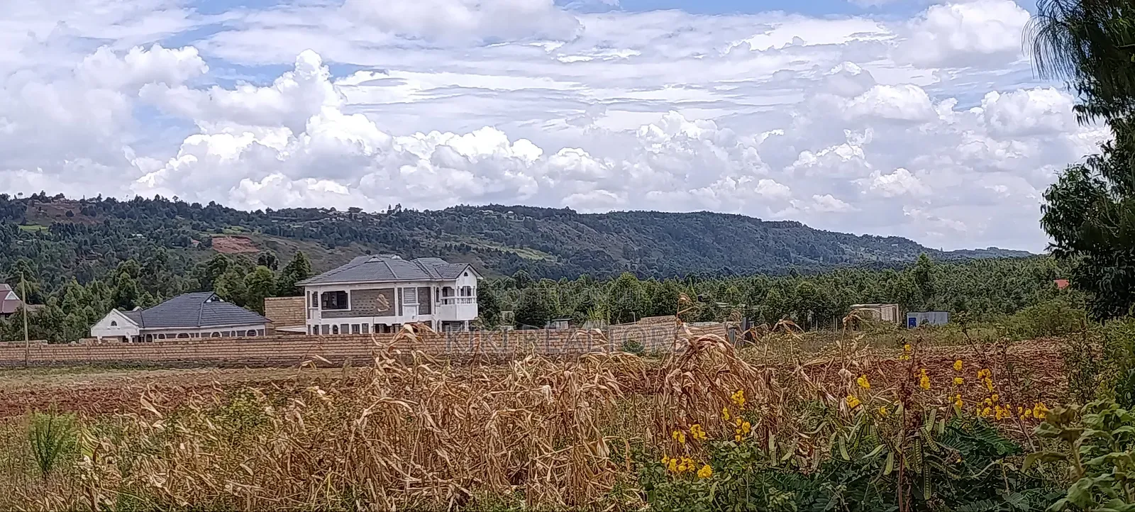 Kikuyu Thigio Plots for Sale-Opposite