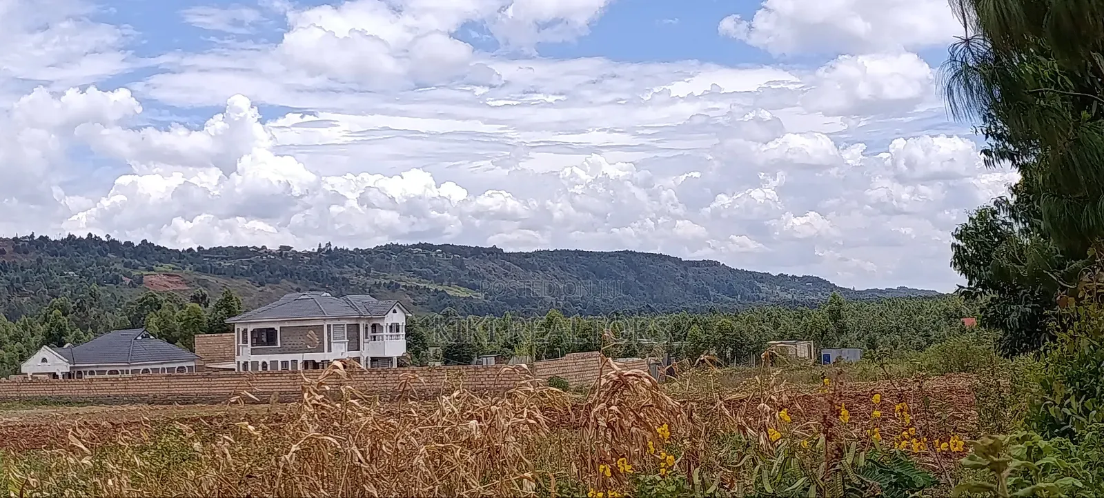Kikuyu Thigio Plots for Sale-Opposite