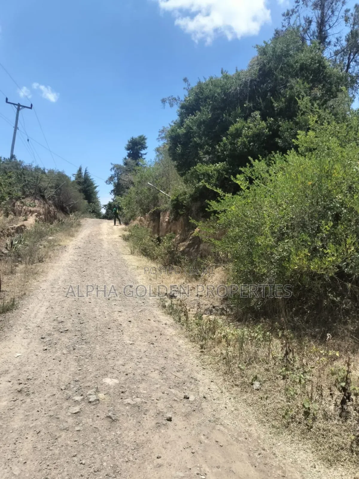 7.5 Acres in Nanyuki [ Airstrip Area ]
