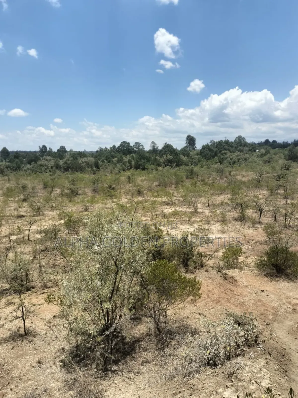 7.5 Acres in Nanyuki [ Airstrip Area ]