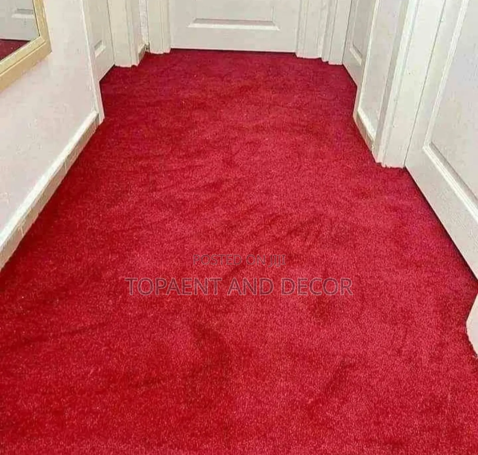 Beautiful Wall to Wall Carpet for Office Entrance Corridor