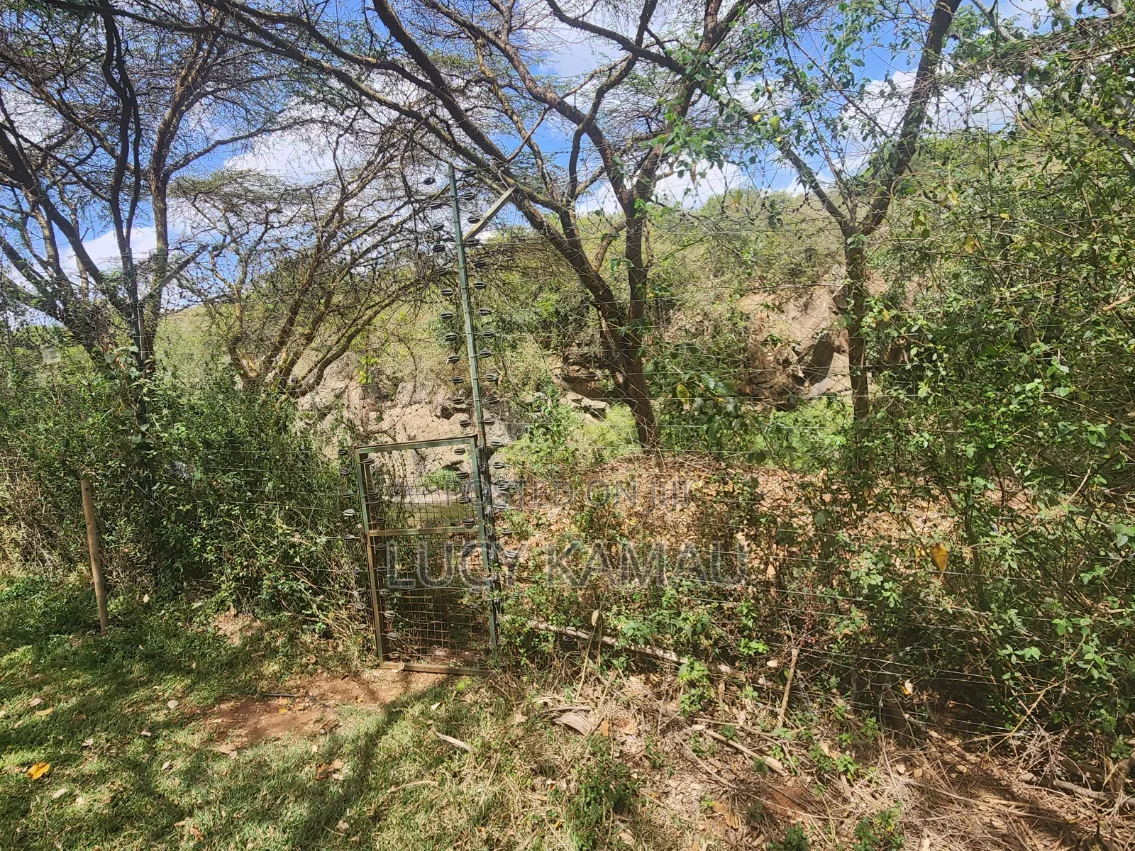 3⁄4 Acre Gem Fronting River and Nairobi National Park