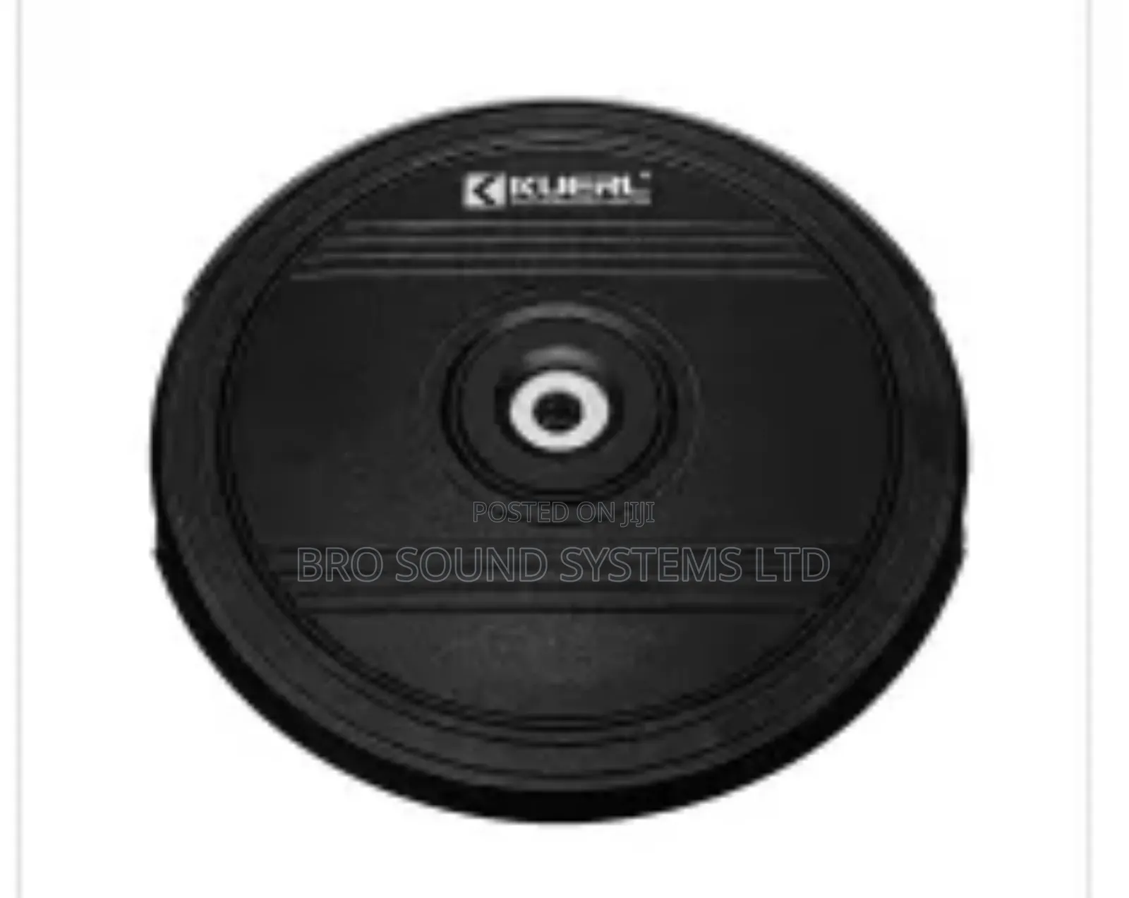 Active ( Powered ) 12 Inch Spear Wheel Subwoofer