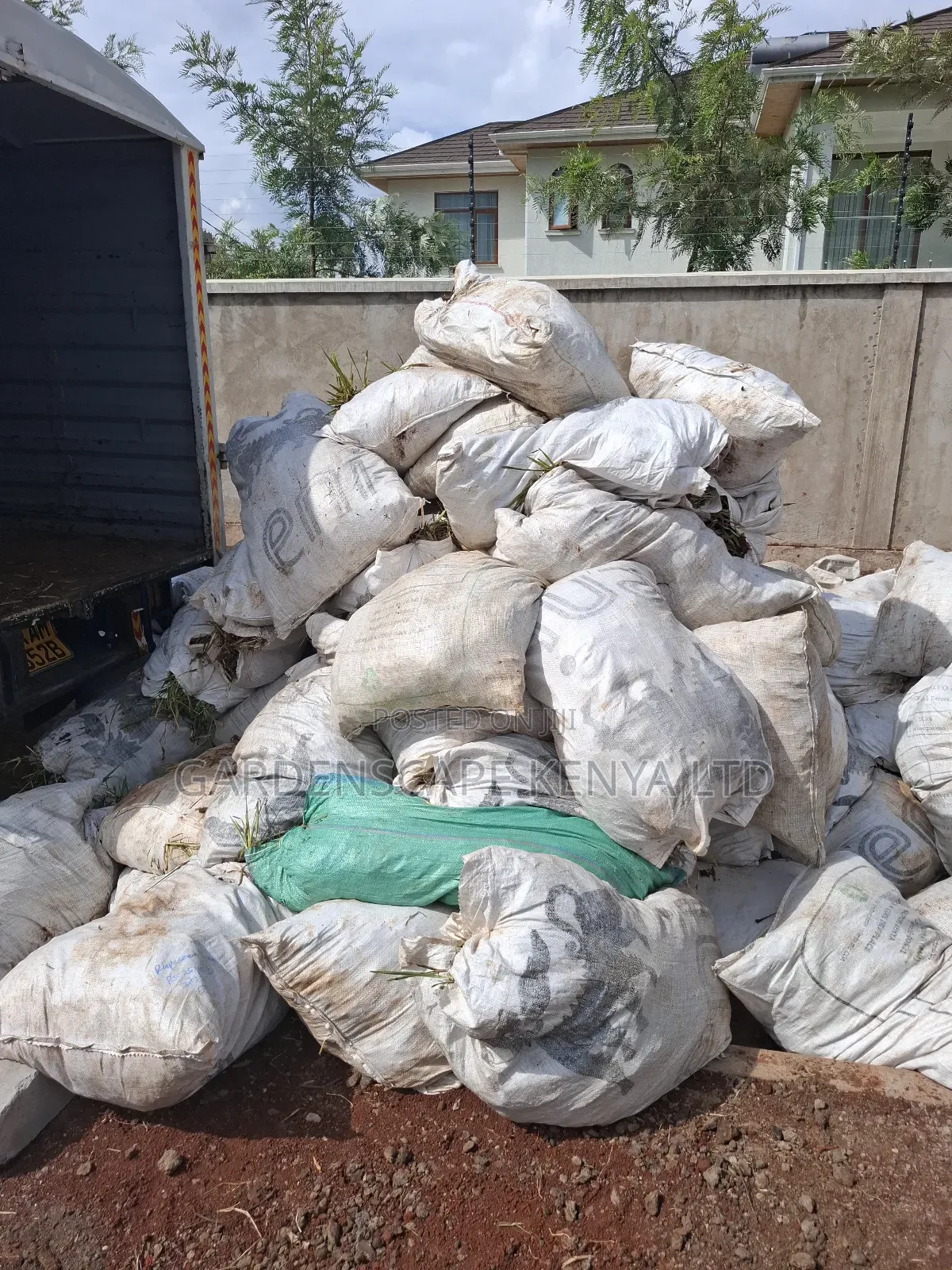 Lawn Grass in 90kg Sacks