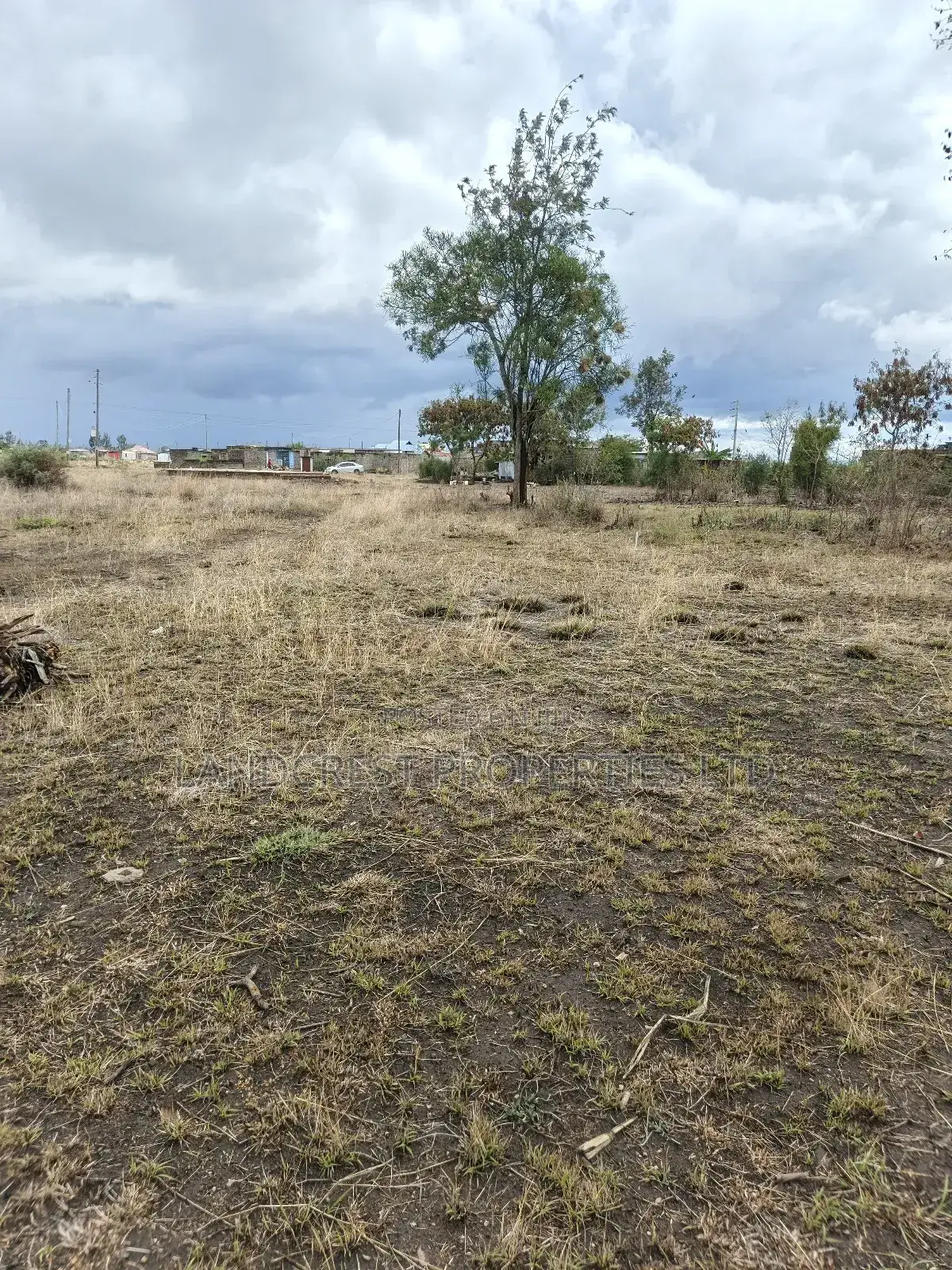 40*60 Plot for Sale in Ruiru (Ndururumo)