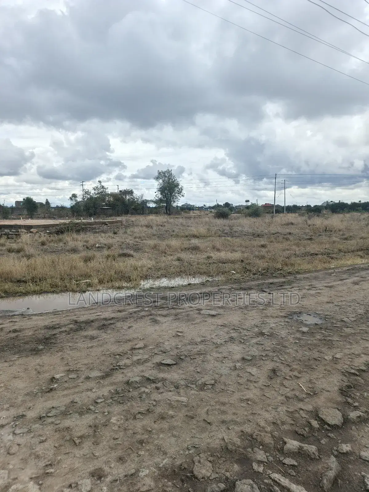 40*60 Plot for Sale in Ruiru (Ndururumo)