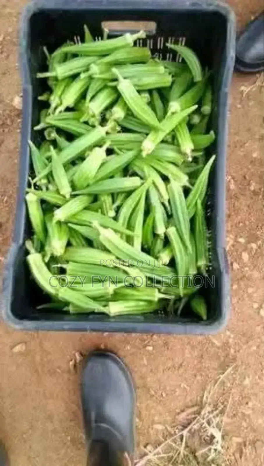 Okra Per 1kg
