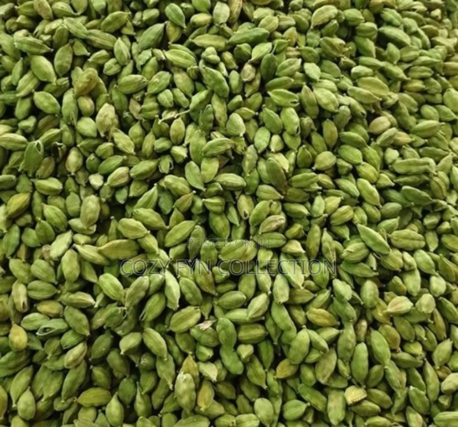 Green Cardamon