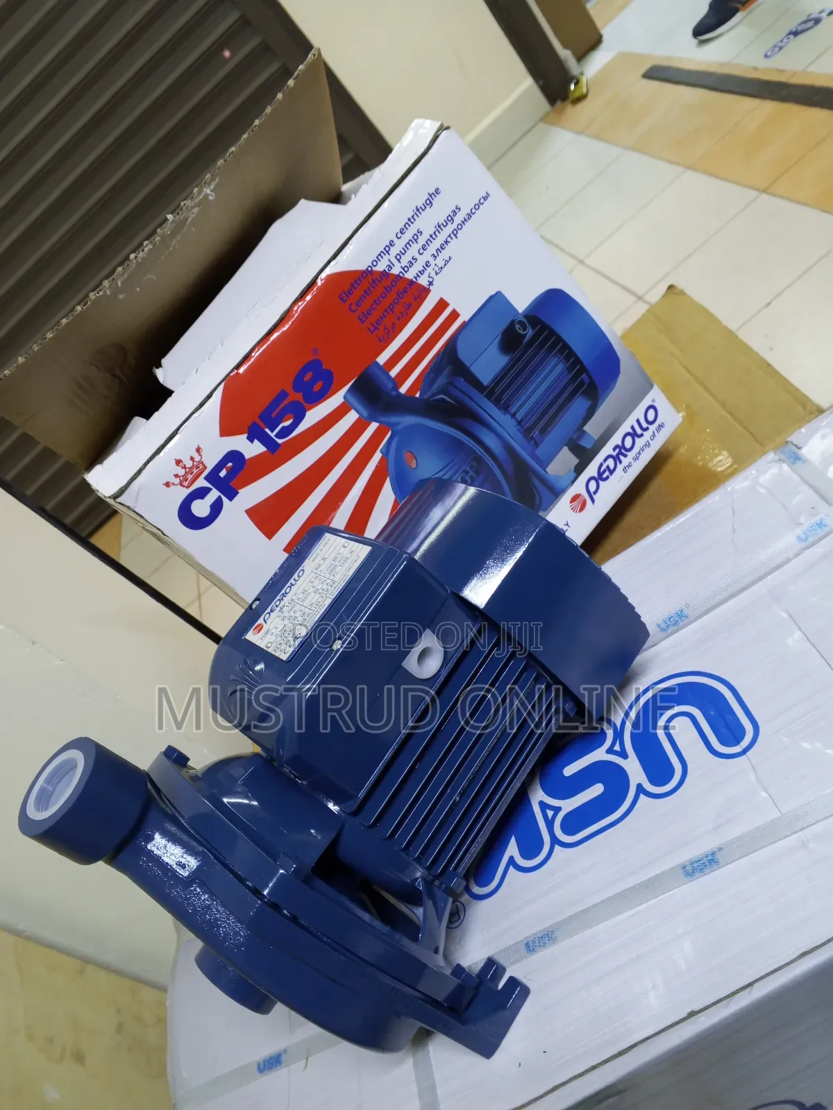 Electric CPM 158 Pedrollo Water Pump