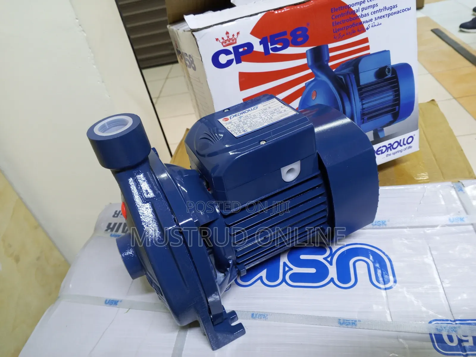 Pedrollo Water Pump Machine