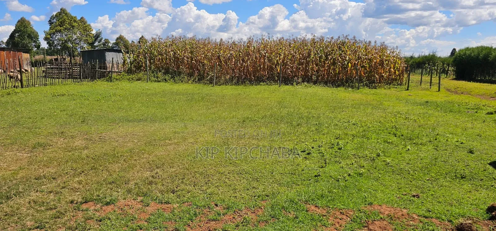 Prime Plots for Sale in Illula Centre