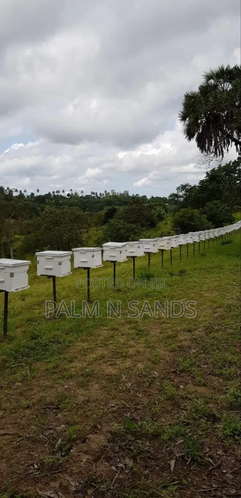 Shimbahills 31 Acre Farm on Sale