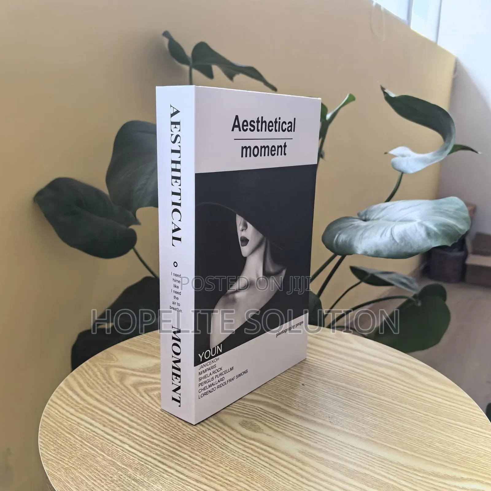 Dummy Books