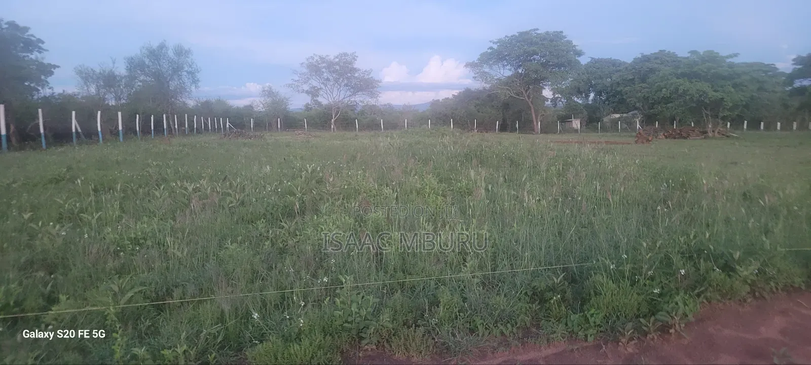 Best Plots in Matuu
