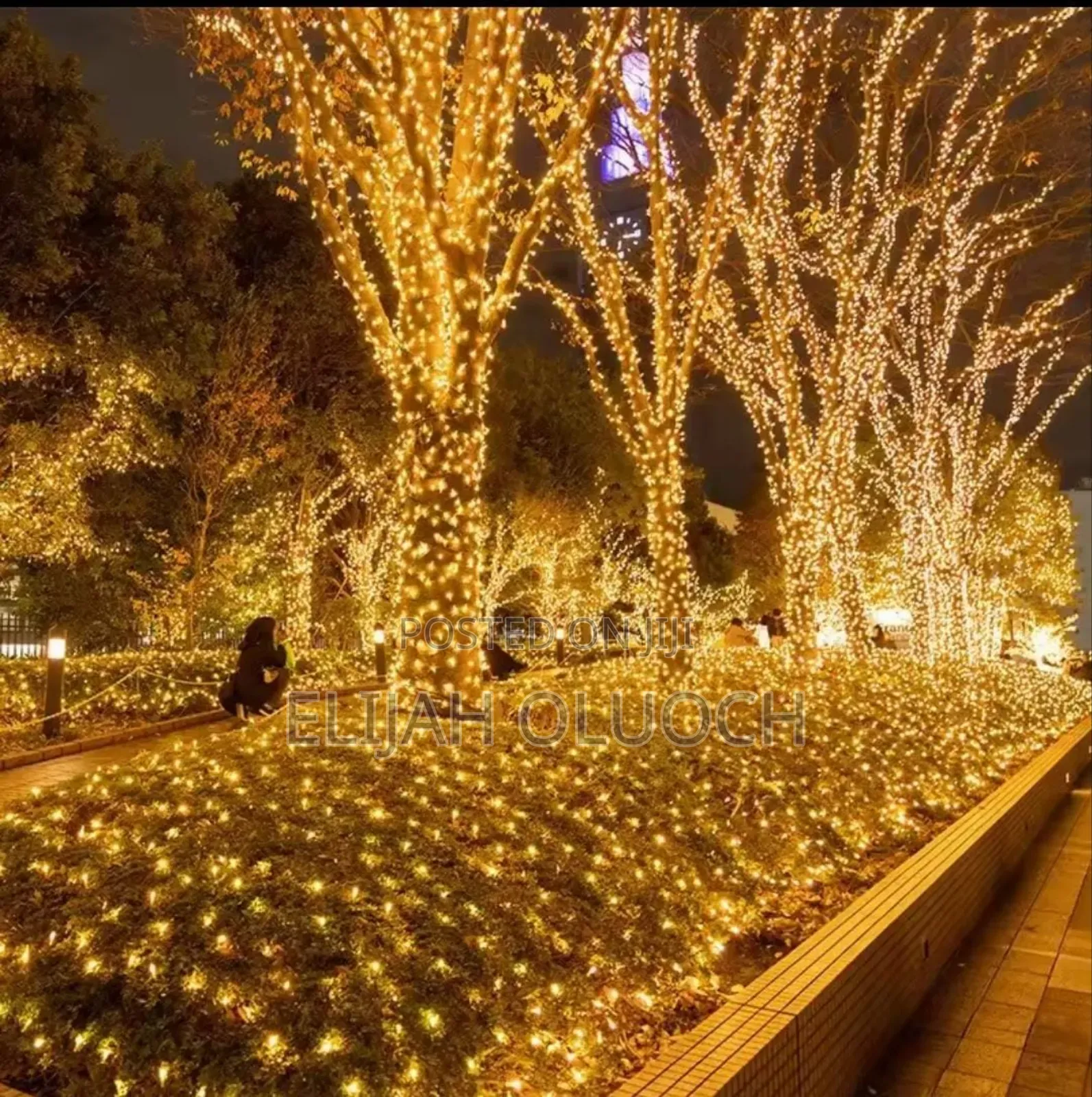 45/50m Outdoor Led String Lights