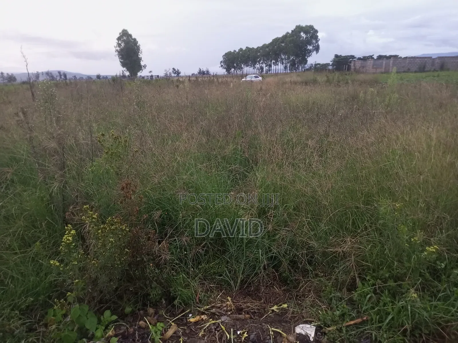 Plot for Sale in Mwariki C