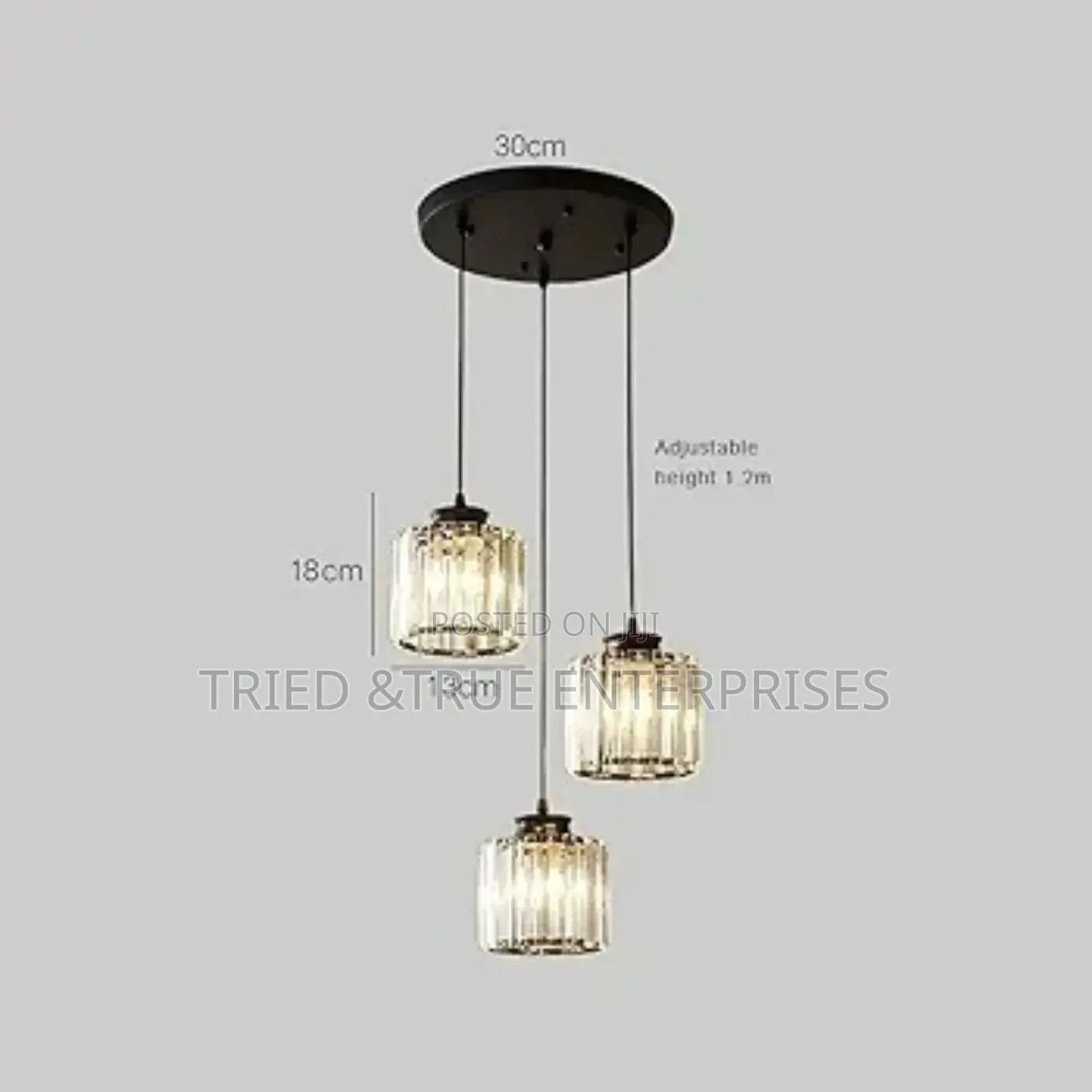 Elegant Crystal Pendant Light Jvc5