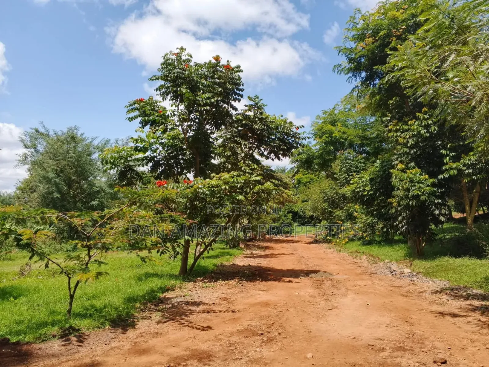 54 Fully Serviced Quater Acre Plots for Sale in Ngong Masai Road