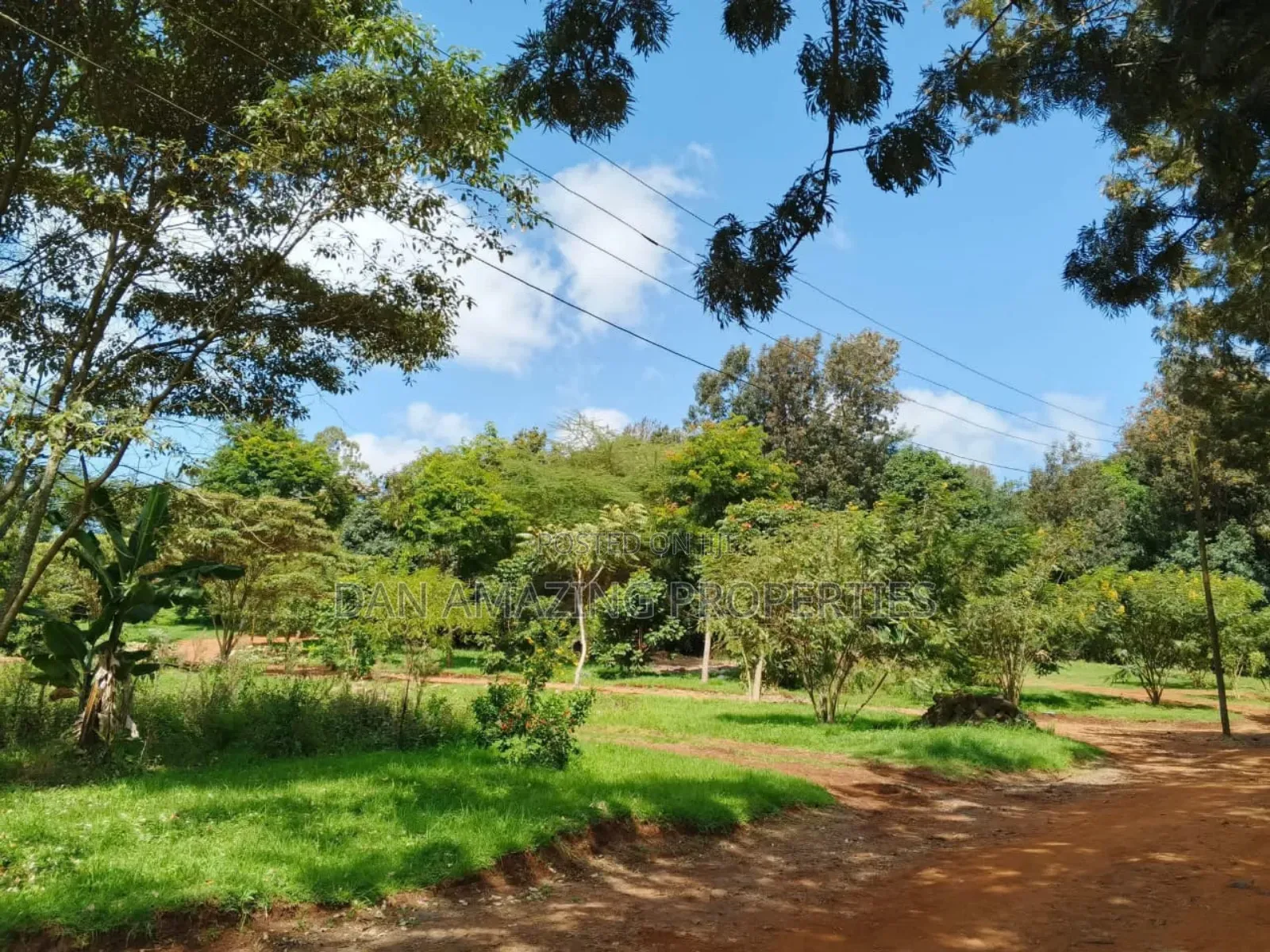 54 Fully Serviced Quater Acre Plots for Sale in Ngong Masai Road