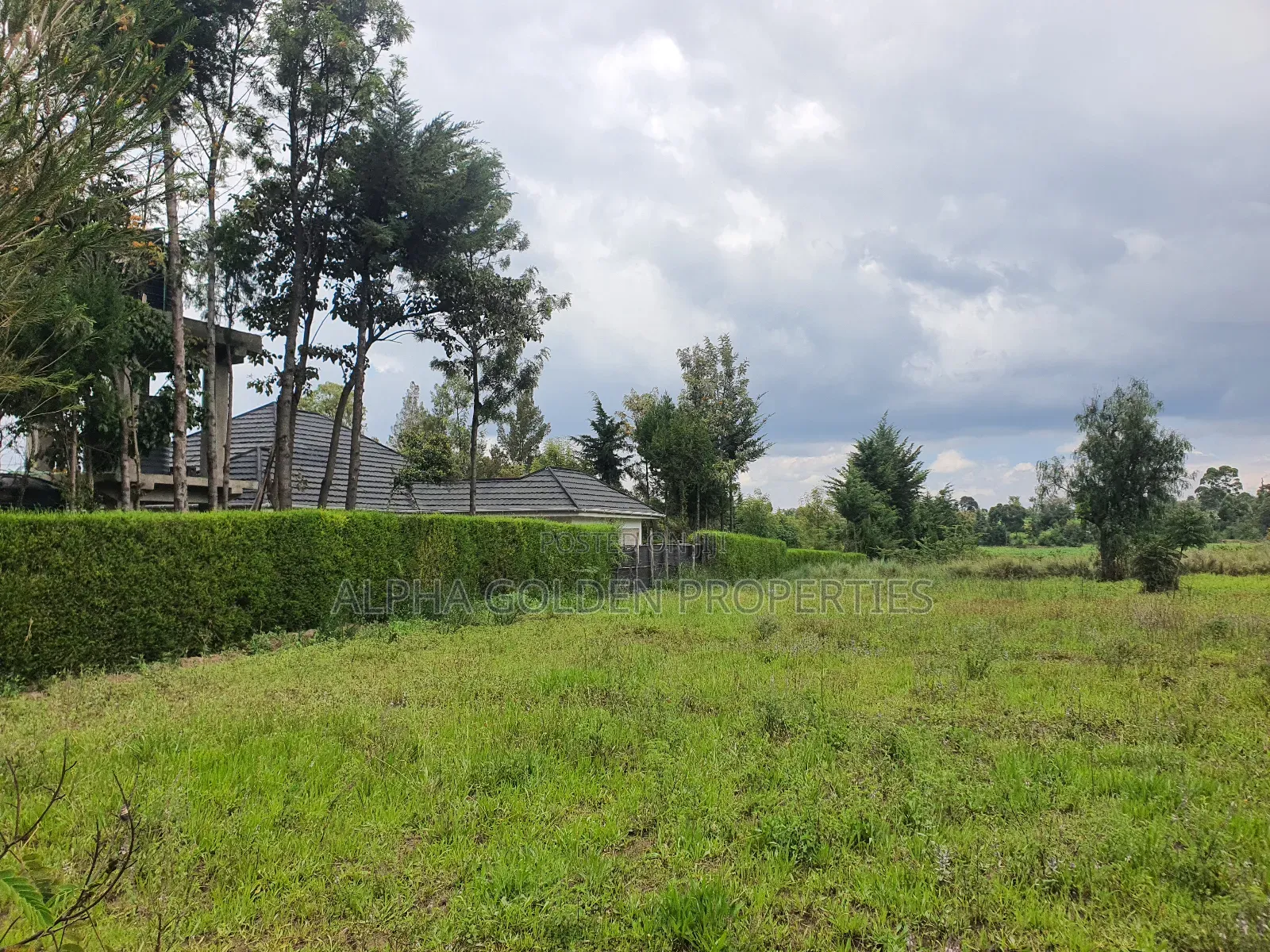 2 Acres in Nanyuki [ Kwahuku ]