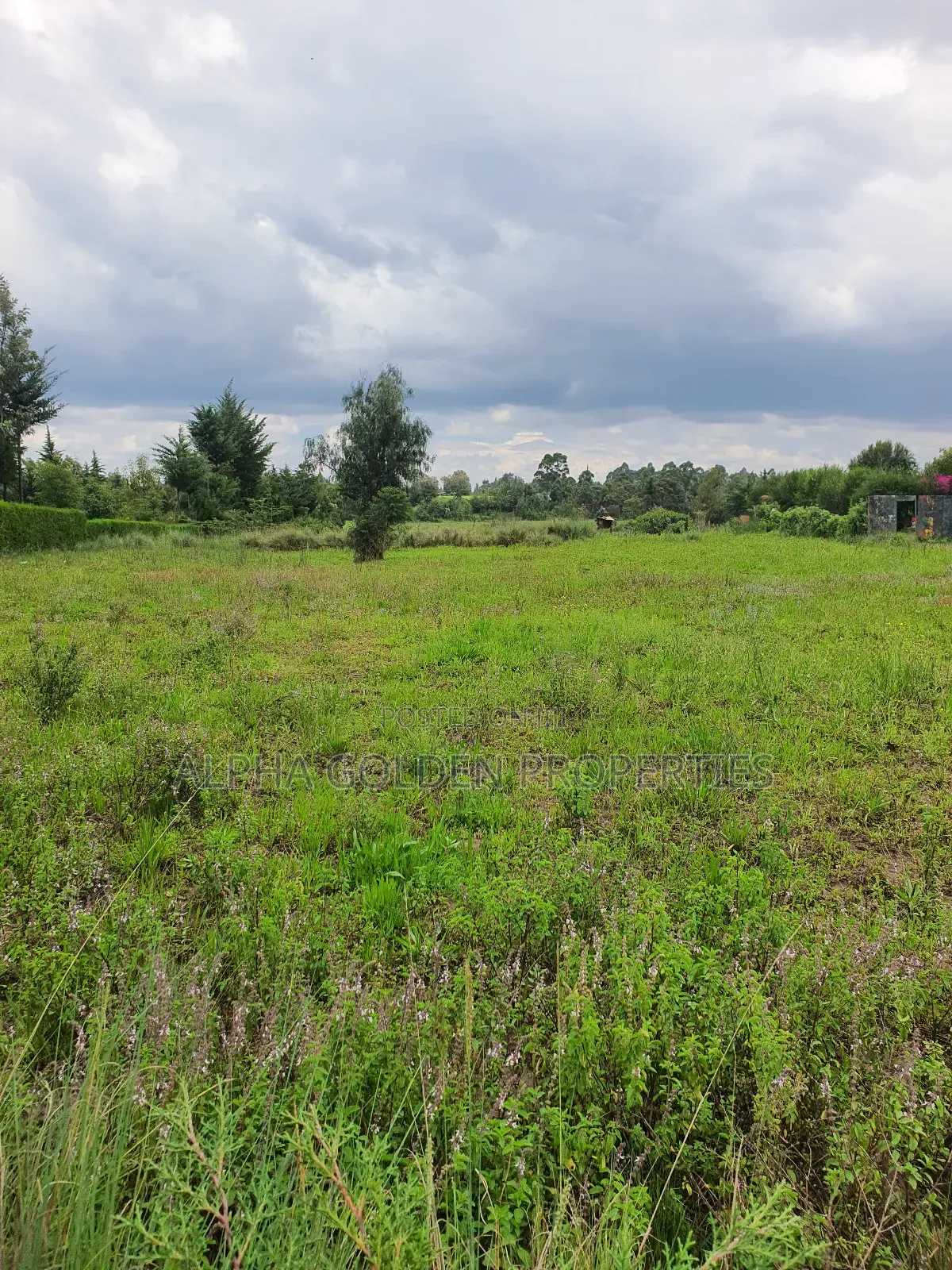 2 Acres in Nanyuki [ Kwahuku ]