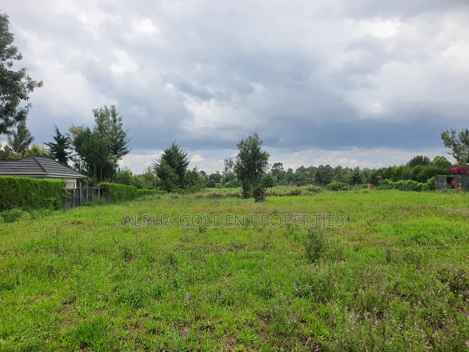 2 Acres in Nanyuki [ Kwahuku ]