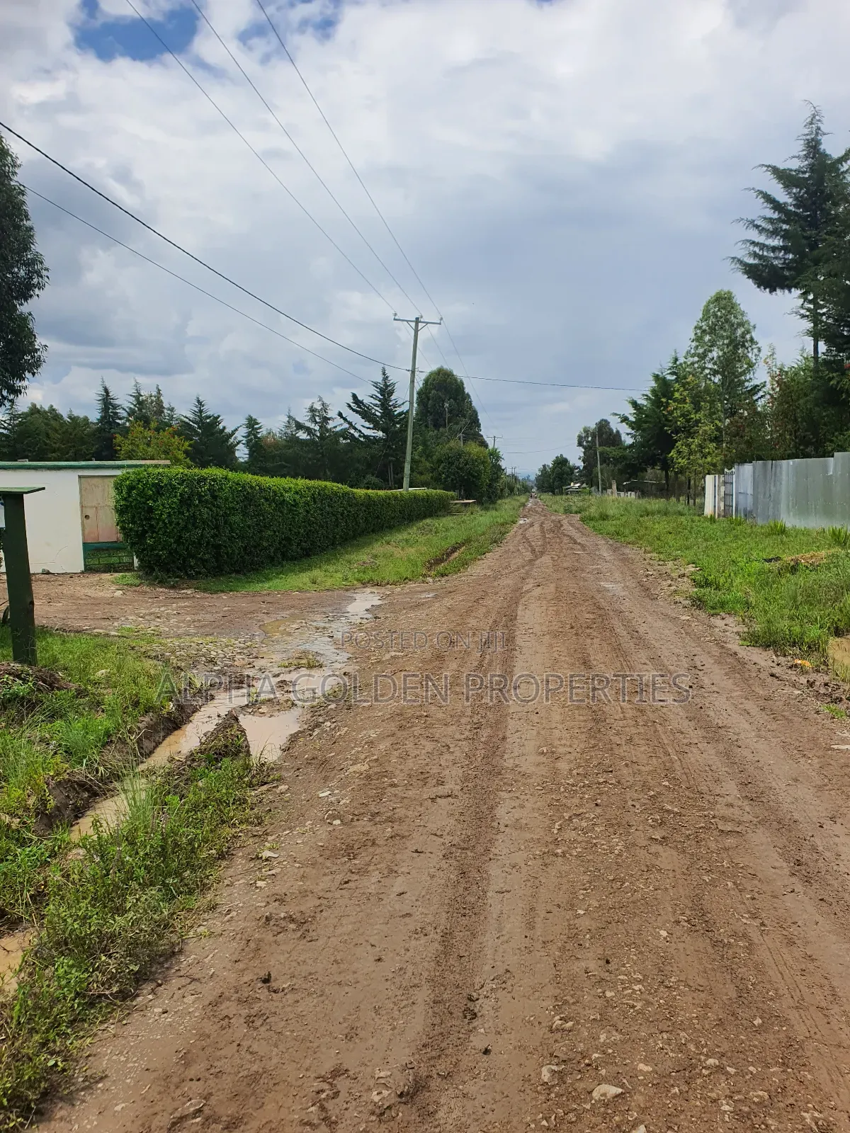 2 Acres in Nanyuki [ Kwahuku ]