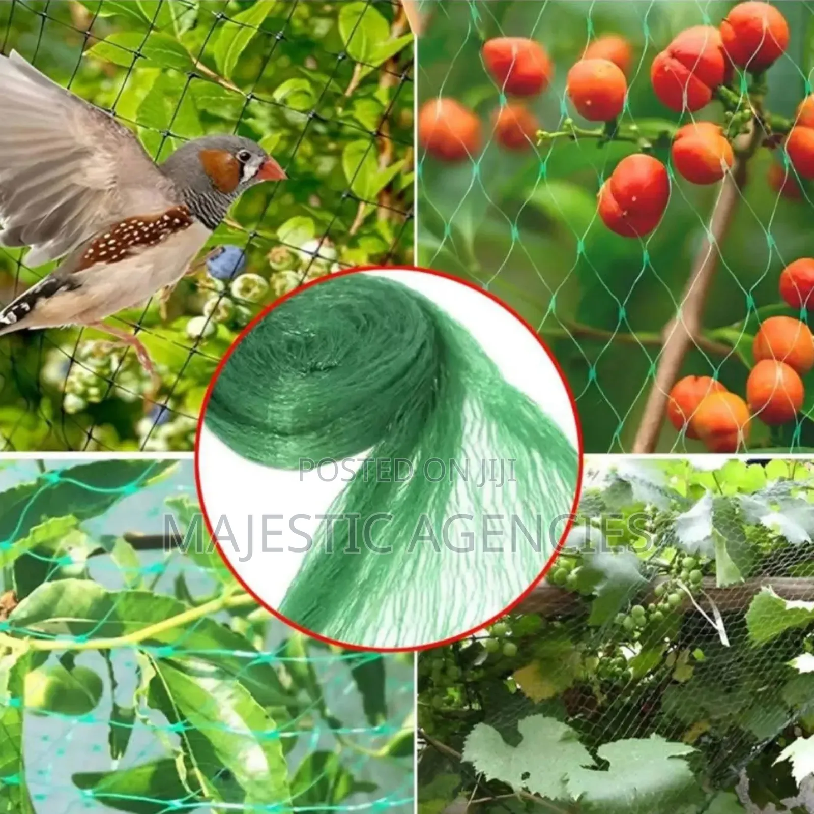 Bird Nets 5x30m
