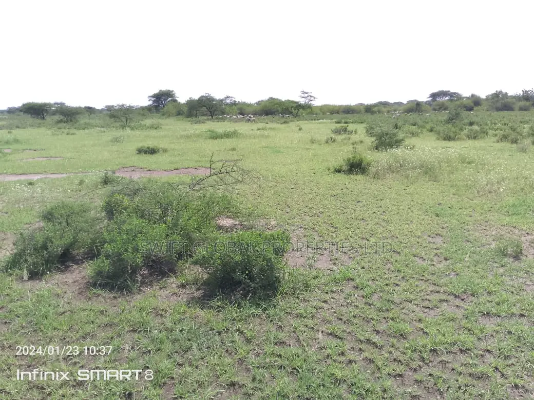 For Sale: 9,000 Acres of Prime Undeveloped Land in Kajiado