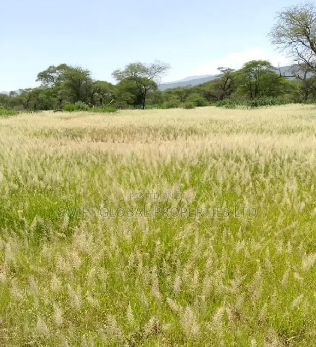 For Sale: 9,000 Acres of Prime Undeveloped Land in Kajiado