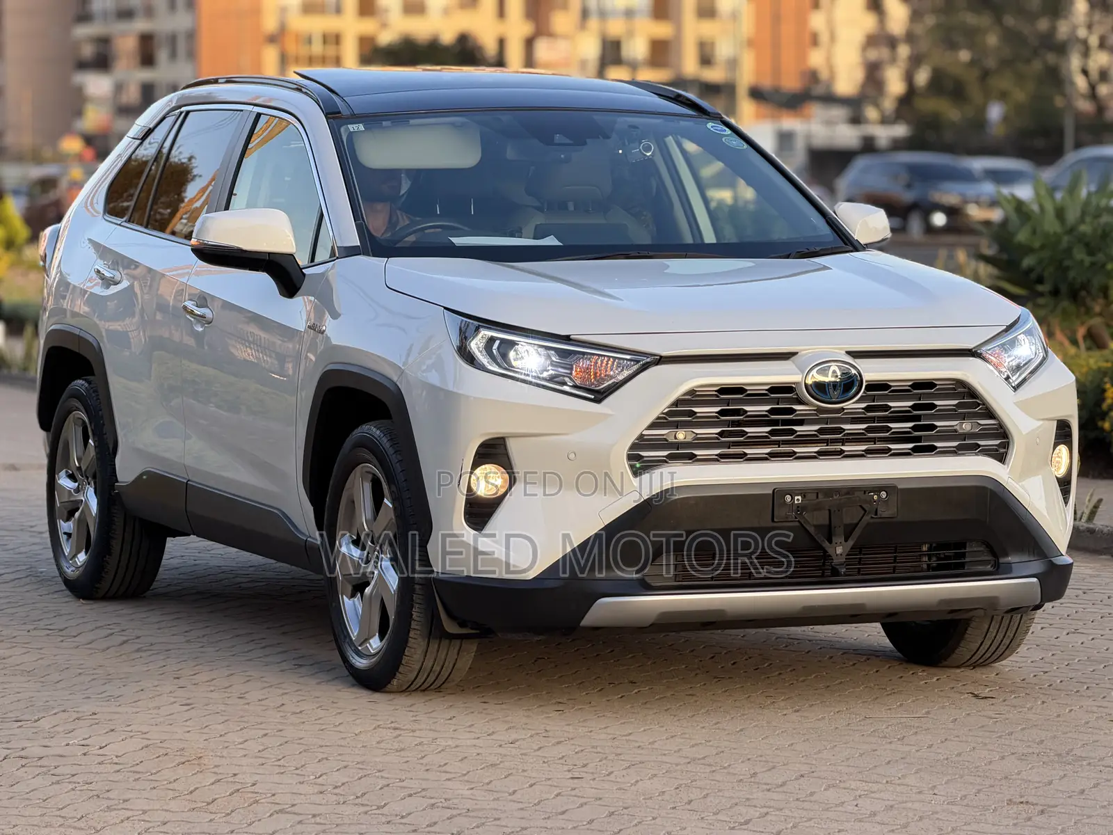 Toyota RAV4 Adventure 2019 Pearl